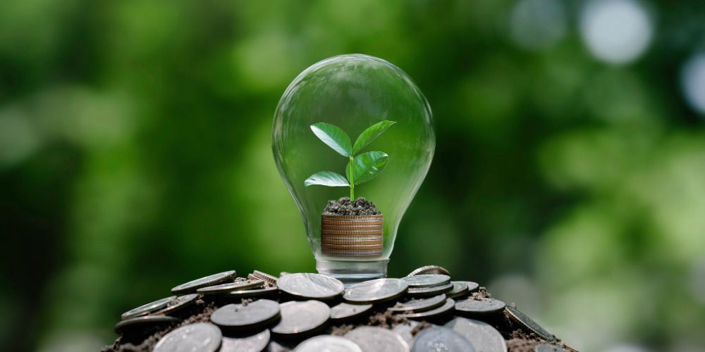 Investment Advisory and Research